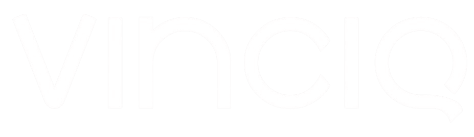 VinciQ Solutions